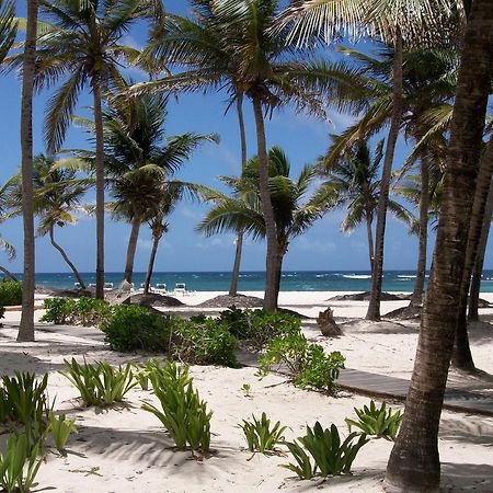 Hibiscus Beach Resort Christiansted Extérieur photo