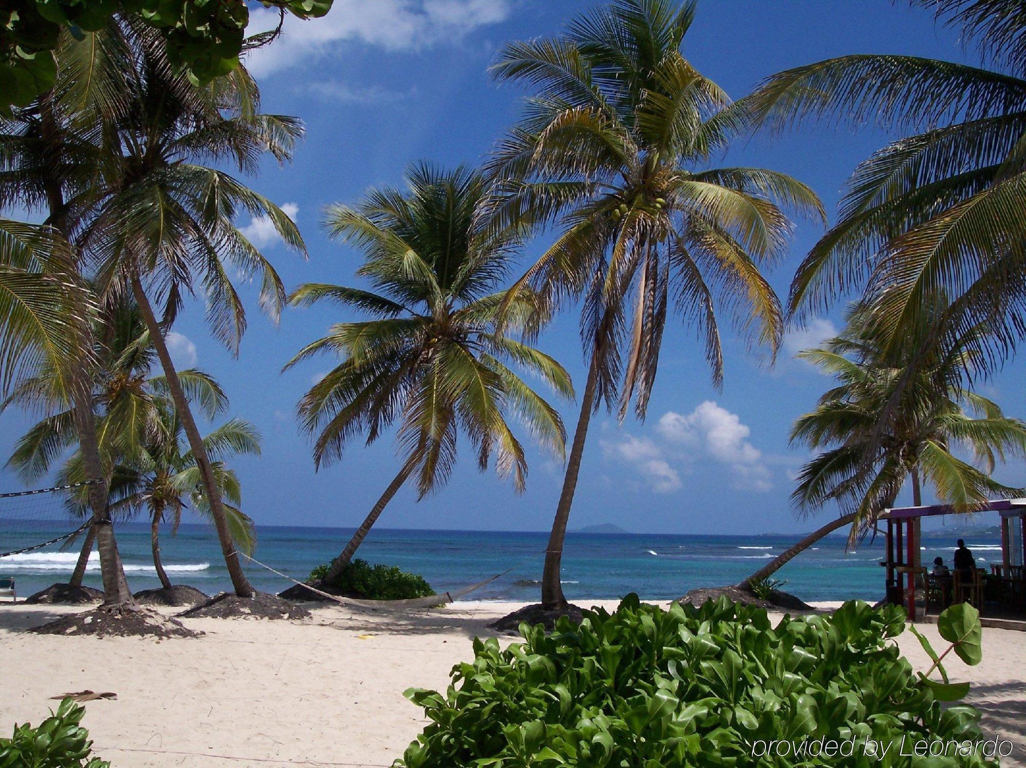 Hibiscus Beach Resort Christiansted Extérieur photo