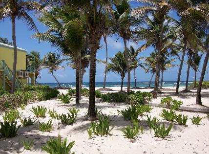 Hibiscus Beach Resort Christiansted Extérieur photo